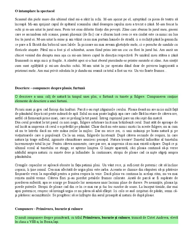 Descrierea Unei Persoane Compunere