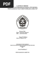 Download 1 PENGAMATAN AMILUM by Putriyanny Ratnasari SN358792876 doc pdf