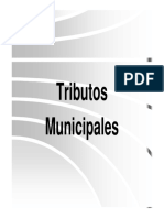 TRIBUTOS MUNICIPALES