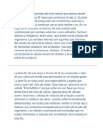 La fase G1 es el periodo del ciclo celular que abarca desde que termina la fase M hasta que comienza la fase S.docx