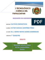 Ensayo Combustibles Fosiles