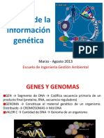 Flujo Información Genética