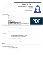 Curriculum Vitae Vendedor