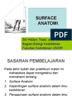 k15 - Surface Anatomi