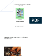 Parasitologia 9788477239109 PDF