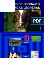 Análisis de forrajes para vacas lecheras