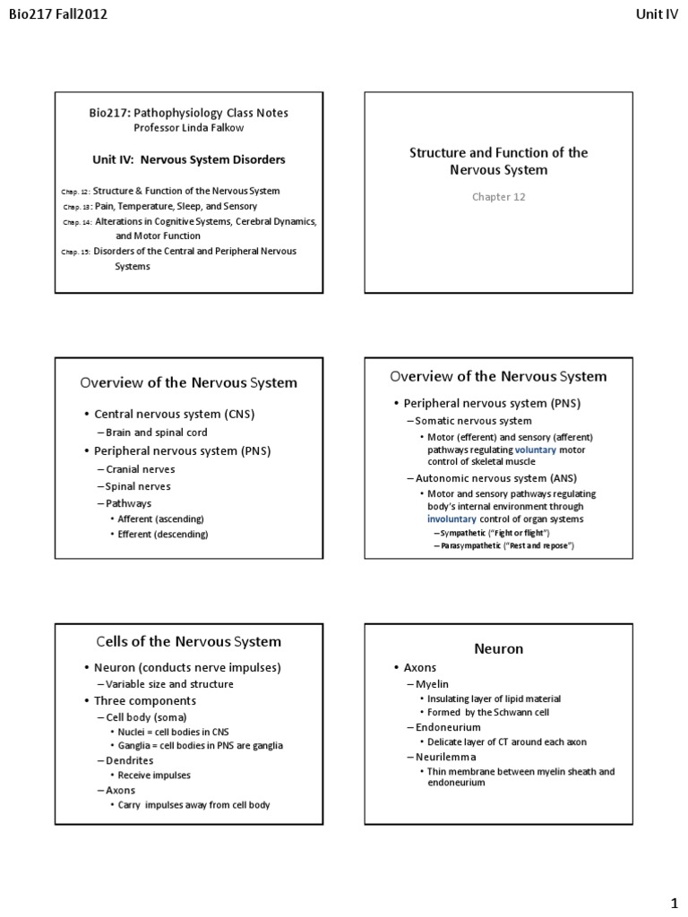 Nervous System Disorders Overview | PDF | Nervous System | Central ...