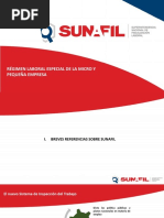 PPT-RLE-MYPE-INPA