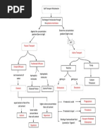 cell membrane transport concept map Concept Map Cellular Processes Membrane Biology cell membrane transport concept map