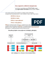 Tluszcze Metabolizm