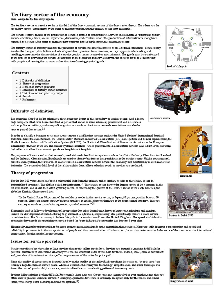 Overview of the Tertiary Sector Economy | PDF | Tertiary Sector Of The ...