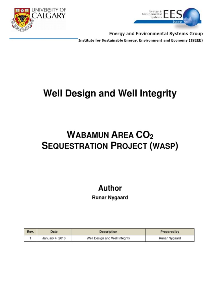 Well Integrity Analysis PDF | PDF