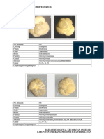 Deskripsi Foraminifera Kecil