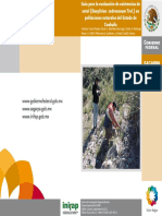 Sotol PDF