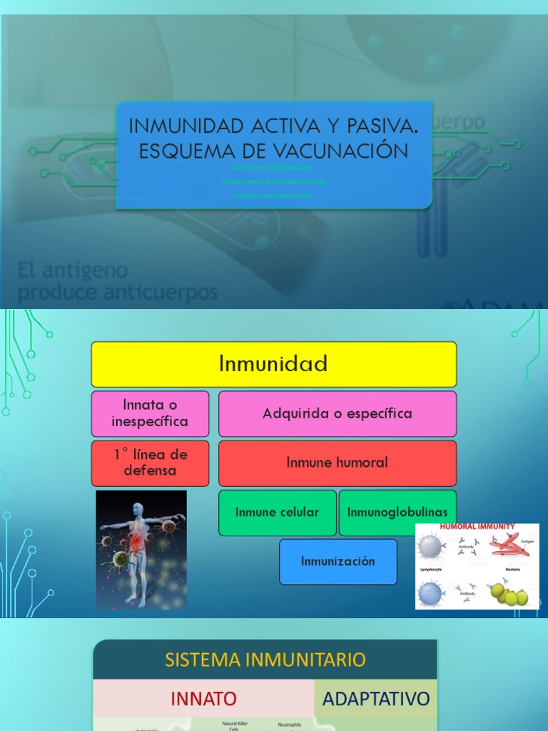 Inmunidad Activa y Pasiva: Esquema Vacunal | PDF | Inmunidad (mdica ...