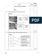 Skema Kedah SET 2