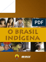 PDF Brasil Ind PDF