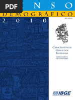 cd_2010_indigenas_universo.pdf