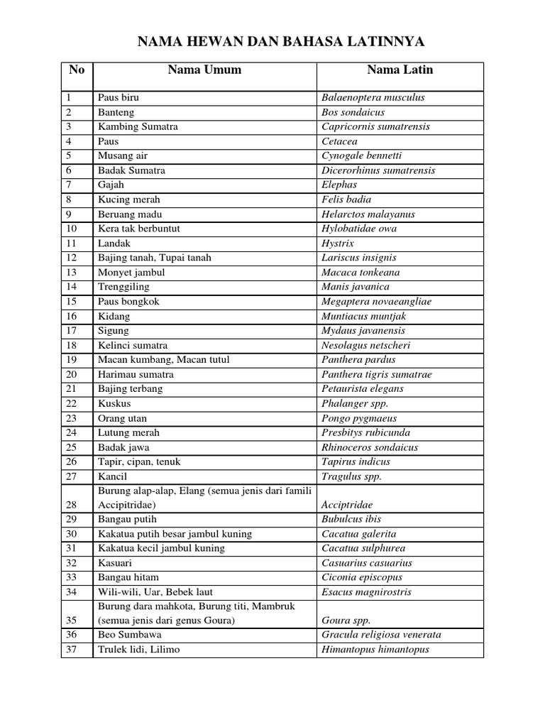 90 Gambar Hewan Dan Nama Latin Terbaru
