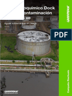 Polo_Petroquimico_Dock_Sud_La_contaminacion_que_no_se_ve.pdf