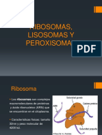 RIBOSOMAS, LISOSOMAS Y PEROXISOMAS.pptx