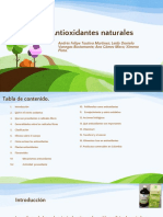 Antioxidantes Naturales Final