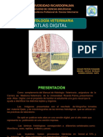 Histo Vet Atlas Digital Version 4 PDF