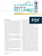 06 PilasCombustible PDF