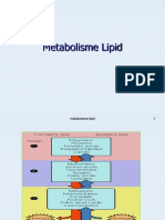 Metabolisme Lipid