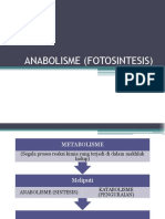 Anabolisme (Fotosintesis)