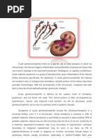 Download Case Study on acute glomerulonephritis by Jai - Ho SN35887468 doc pdf