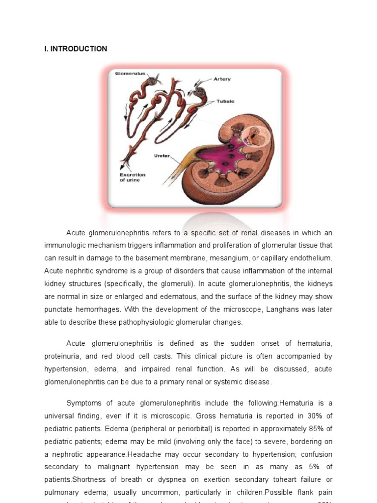 Pediatric Acute Glomerulonephritis Case Study | PDF | Urinary Tract ...