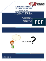 GRUPO TEA Y TREA ECONOMICA.pptx