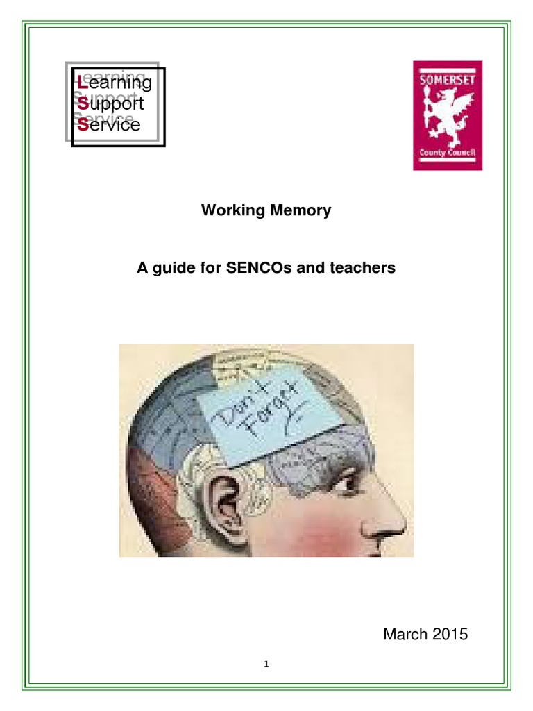 Understanding Working Memory in Education | PDF | Memory | Working Memory