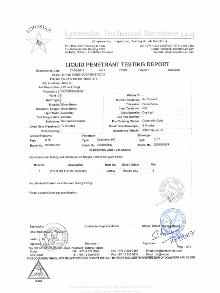 DPT Report | PDF