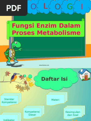 Fungsi Enzim Dalam Proses Metabolisme 1