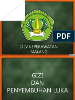 Gizi Dan Penyembuhan Luka