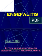 ENSEFALITIS.pptx