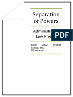 Separation-of-Power-Project.doc