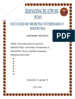 INFORME TÉCNICO