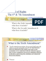 6th 7th Amendment101