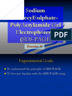 Sodium Dodecylsulphate-Electrophoresis: Polyacrylamide Gel (Sds-Page)