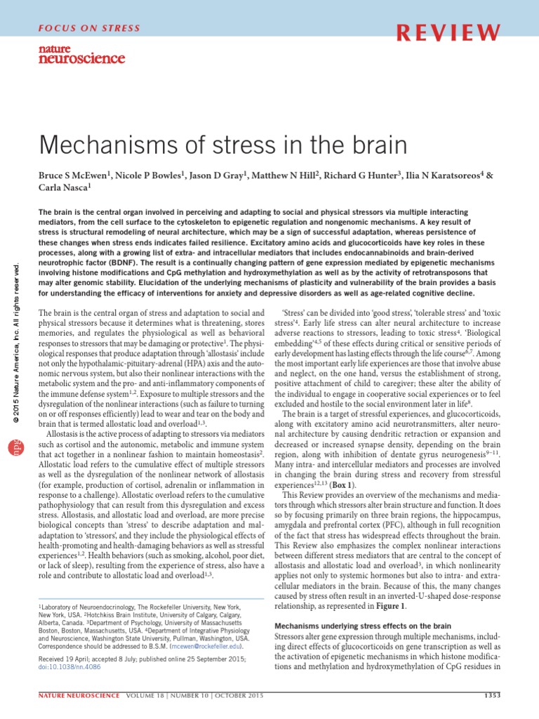 Mechanisms of Stress in The Brain: Review | PDF | Hippocampus ...