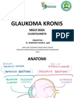 Referat Glaukoma Kronik Melvy Roza