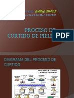 procesodecurtidodepieles-110402164222-phpapp02.pptx