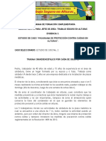 Estudio de Caso "Programa de Protección Contra Caídas en Alturas"