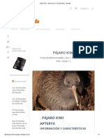 Pájaro Kiwi - Información y Características - Biología