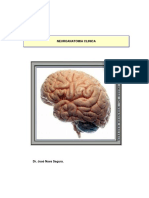4- pepe_nava_neuroanatomia (1).pdf