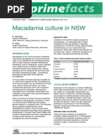 Macadamia Culture in NSW: K. Quinlan, Industry Size