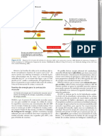 Img172 PDF